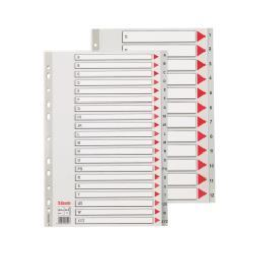 ESSELTE DIVISORIO PER RUBRICA ALFABETICA IN PP 245X297 mm PERFORAZIONE UNIVERSALE 20 TASTI GRIGIO